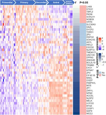 Identification of Biomarkers for Predicting Ovarian Reserve of Primordial Follicle via Transcriptomic Analysis